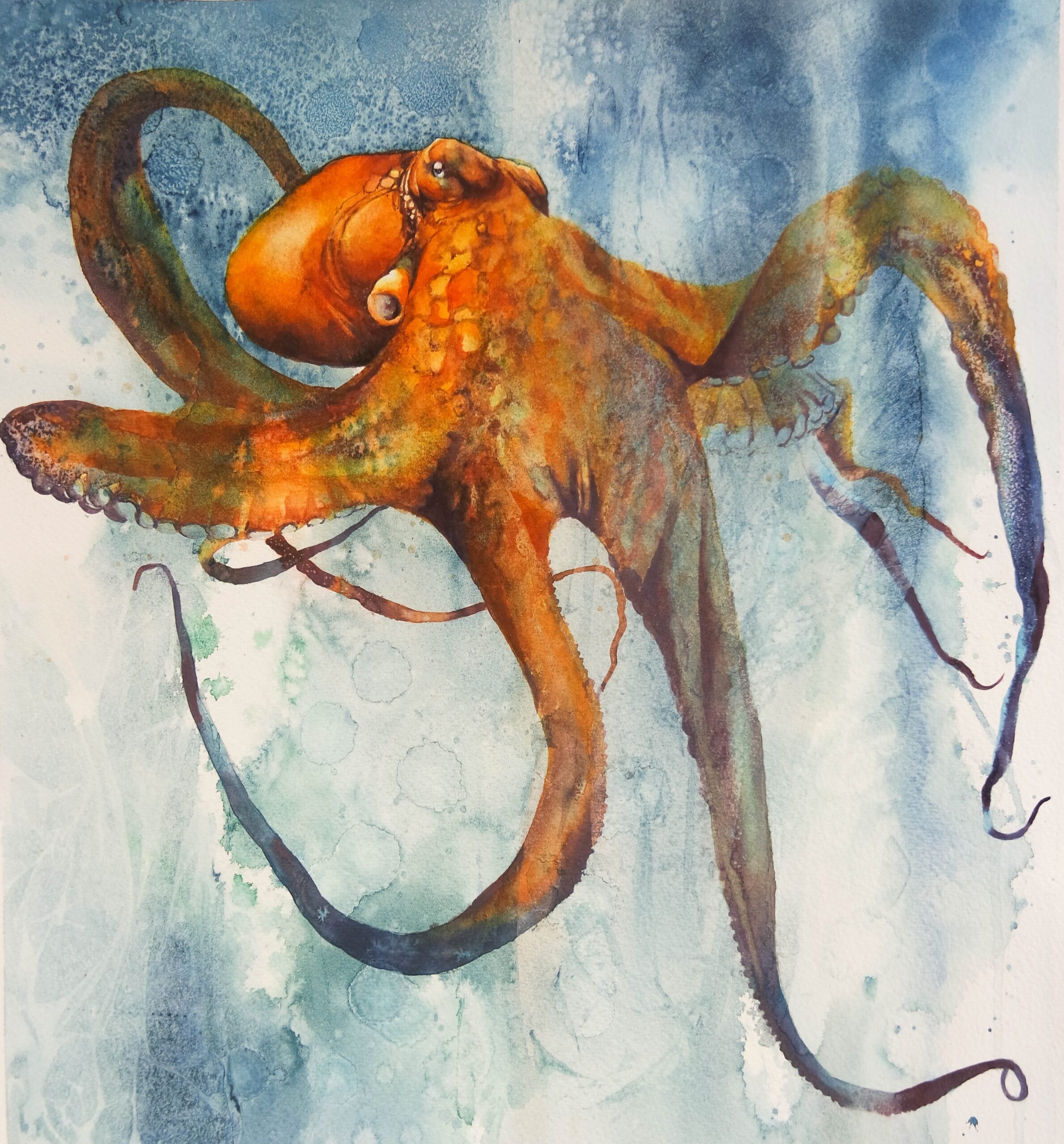 #WAY24MAIN159 Rachel Toll - Dancing in the Waves to the Rhythm of the Ocean