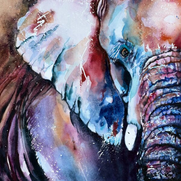 Rama Lamadingdong African Elephant