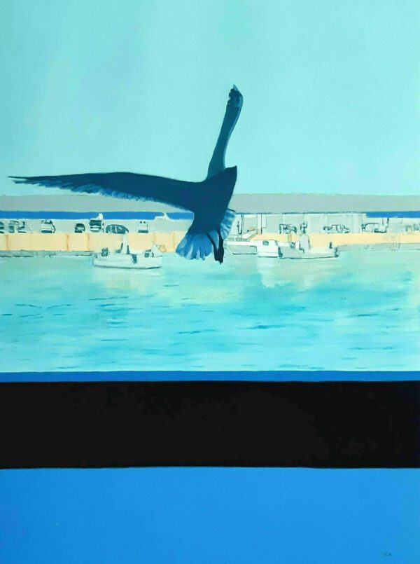 #WAY24MAIN03 Roger Aslin RI - Flight (St Ives Harbour)