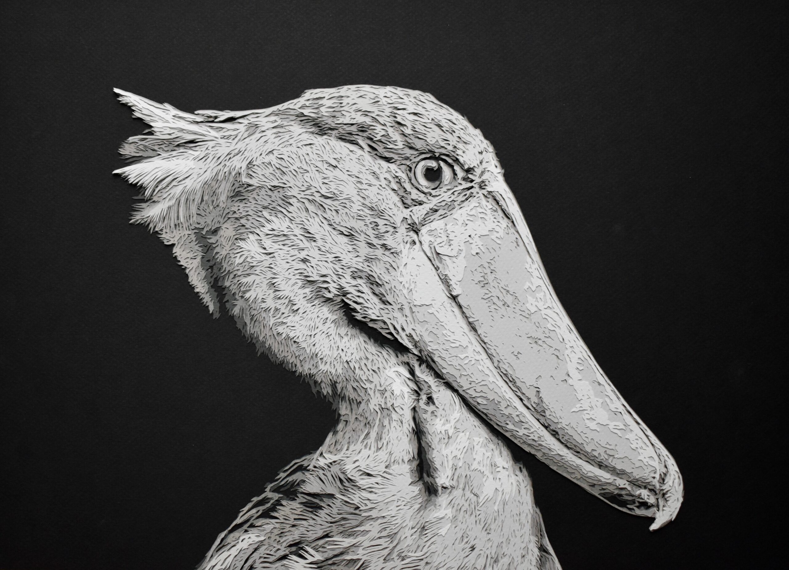 #WAY084 Sarah Lake - Abou