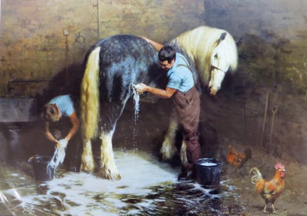 Shampoo Time