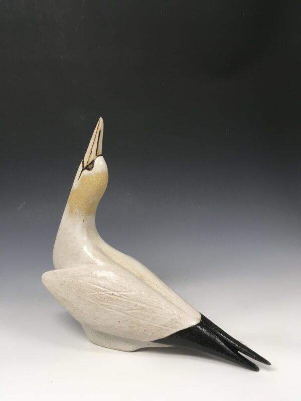 #WAY028 Stephanie Cunningham - Gannet's Prayer