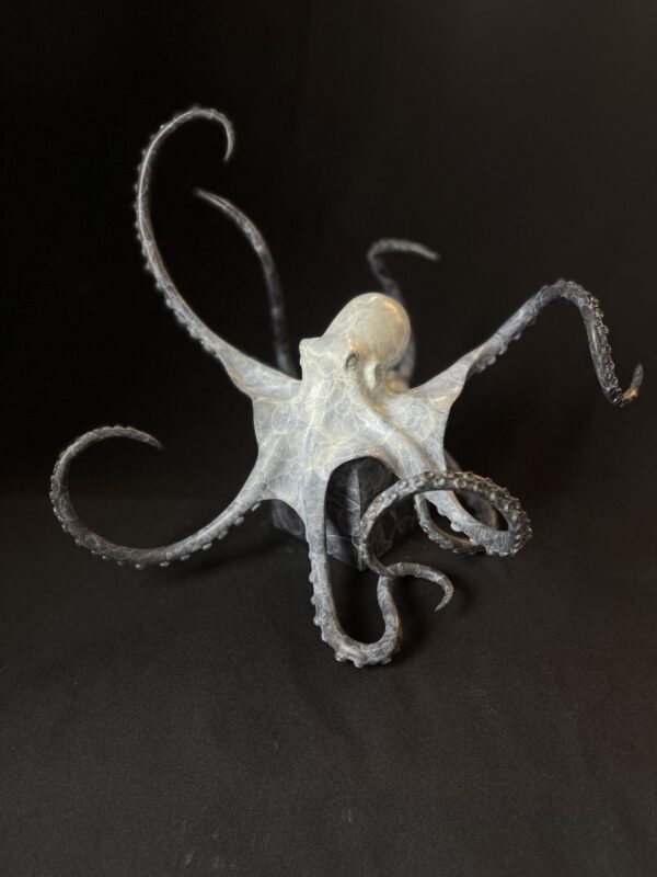 #WAY24MAIN132 Stephen Rew - Octopus on Cube