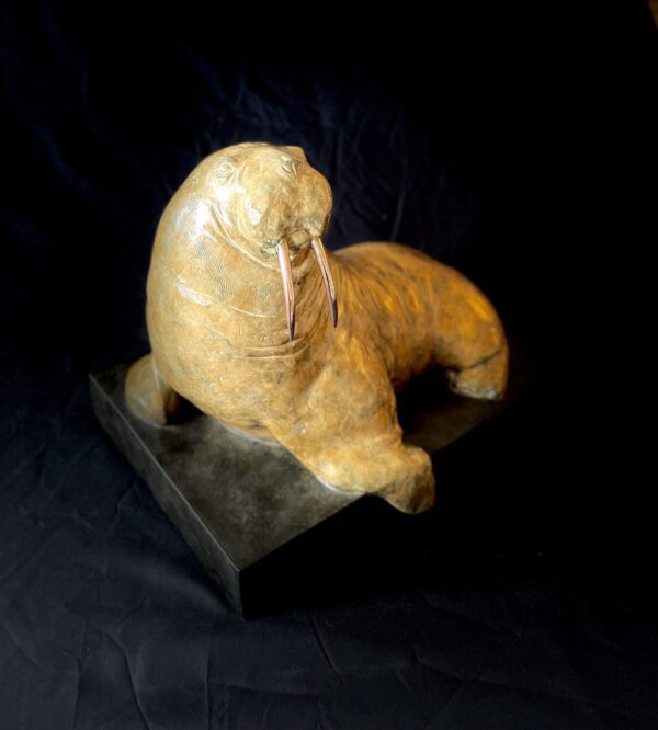 Walrus