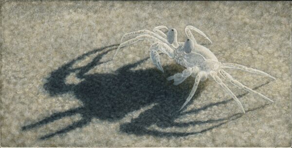 #WAY119 Tamara Pokorny - Shadow of a Ghost