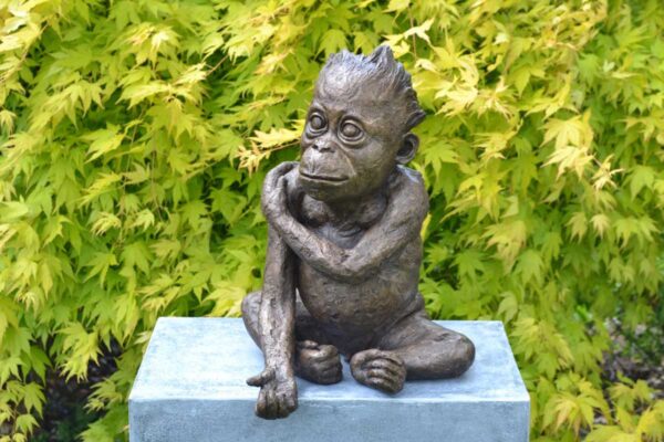 Life Size Baby Orangutan