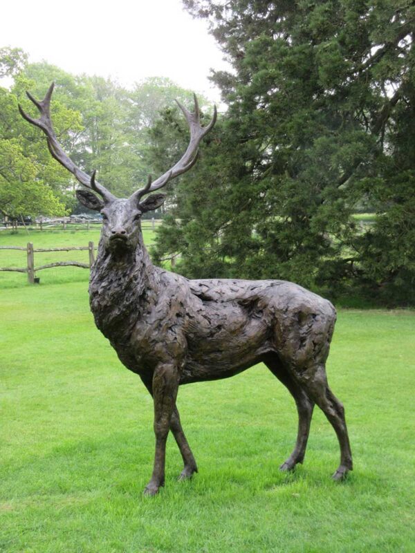 Life Size Standing Red Deer