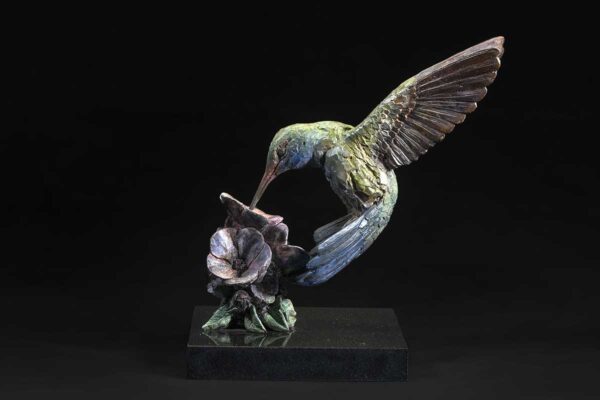 Hummingbird