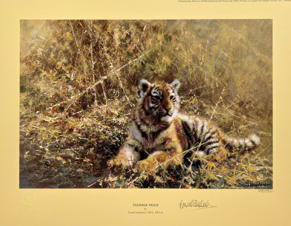 Teenage Tiger
