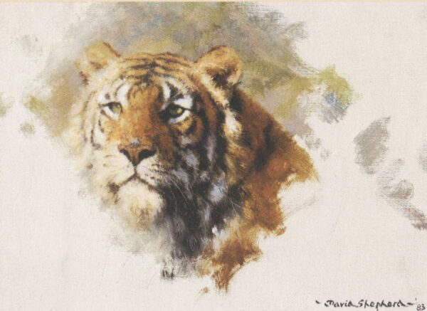 Tiger's Head