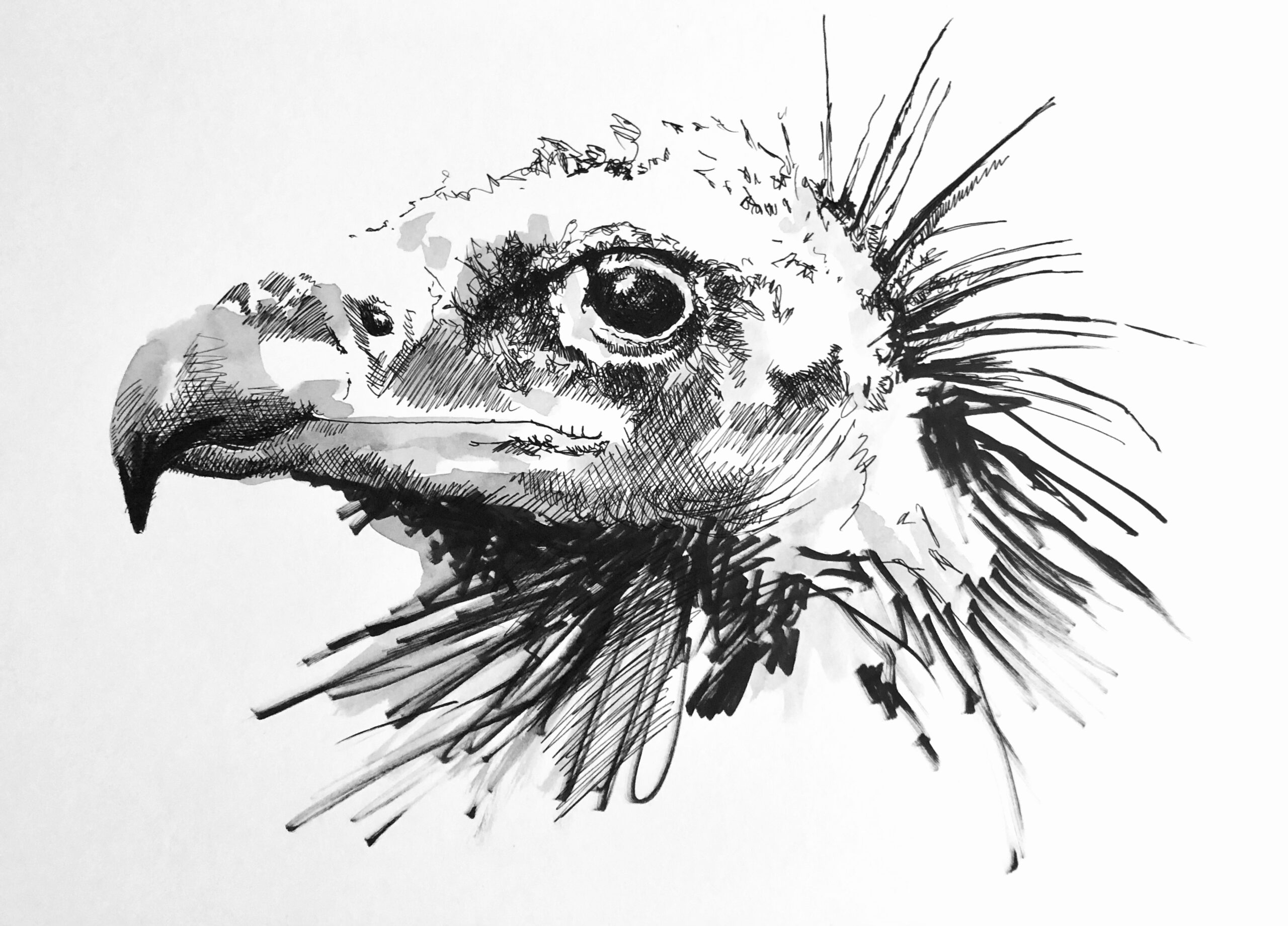 #WAY060 Tim Hastilow - Spirit of 77