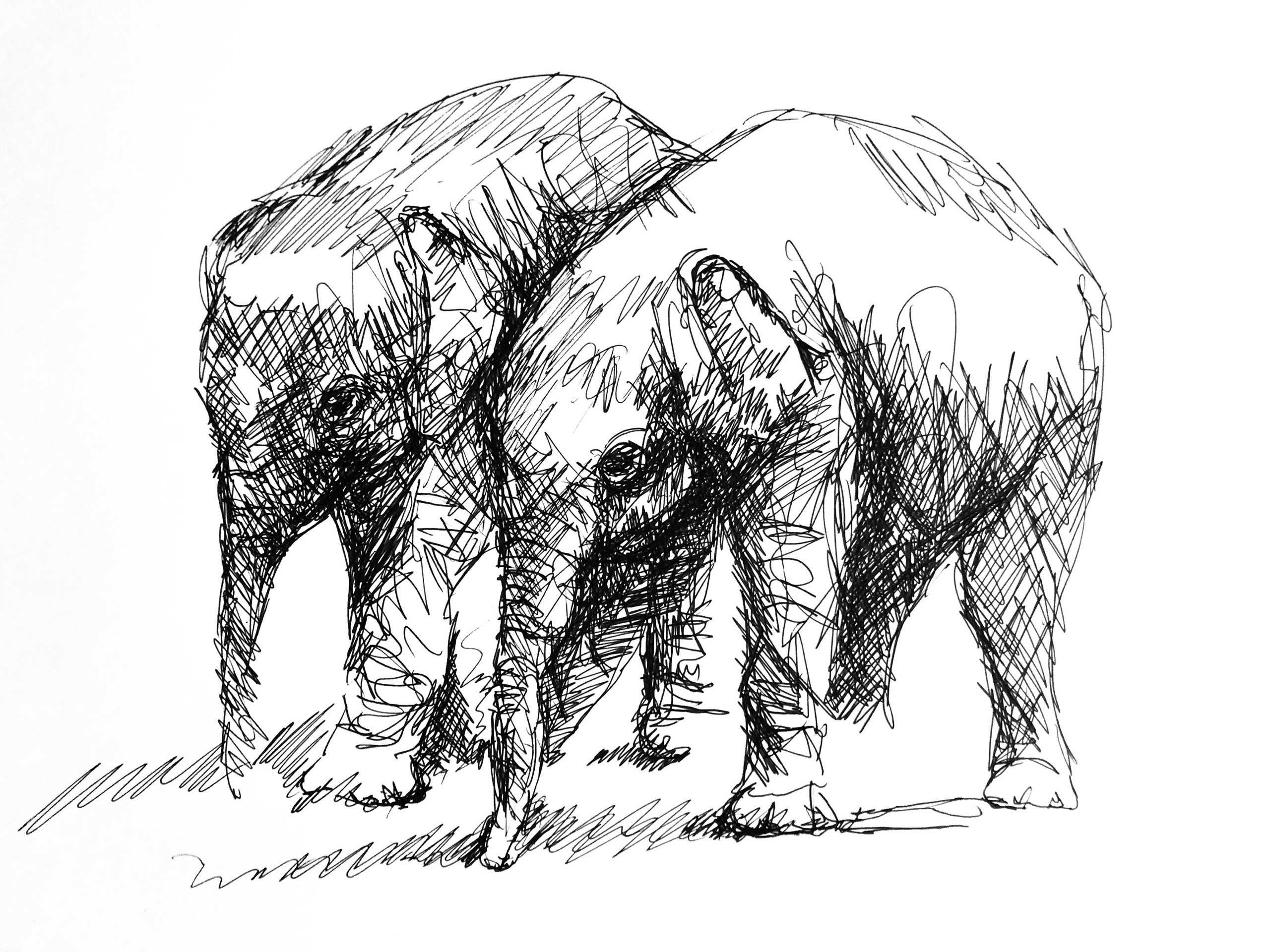 Sketch - Tim Hastilow