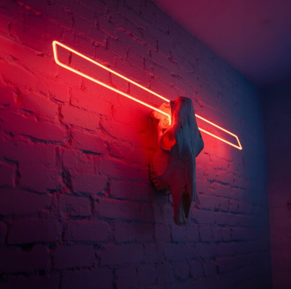 #WAY24MAIN153 Tiziano Summo - Rectangle - Light After Death