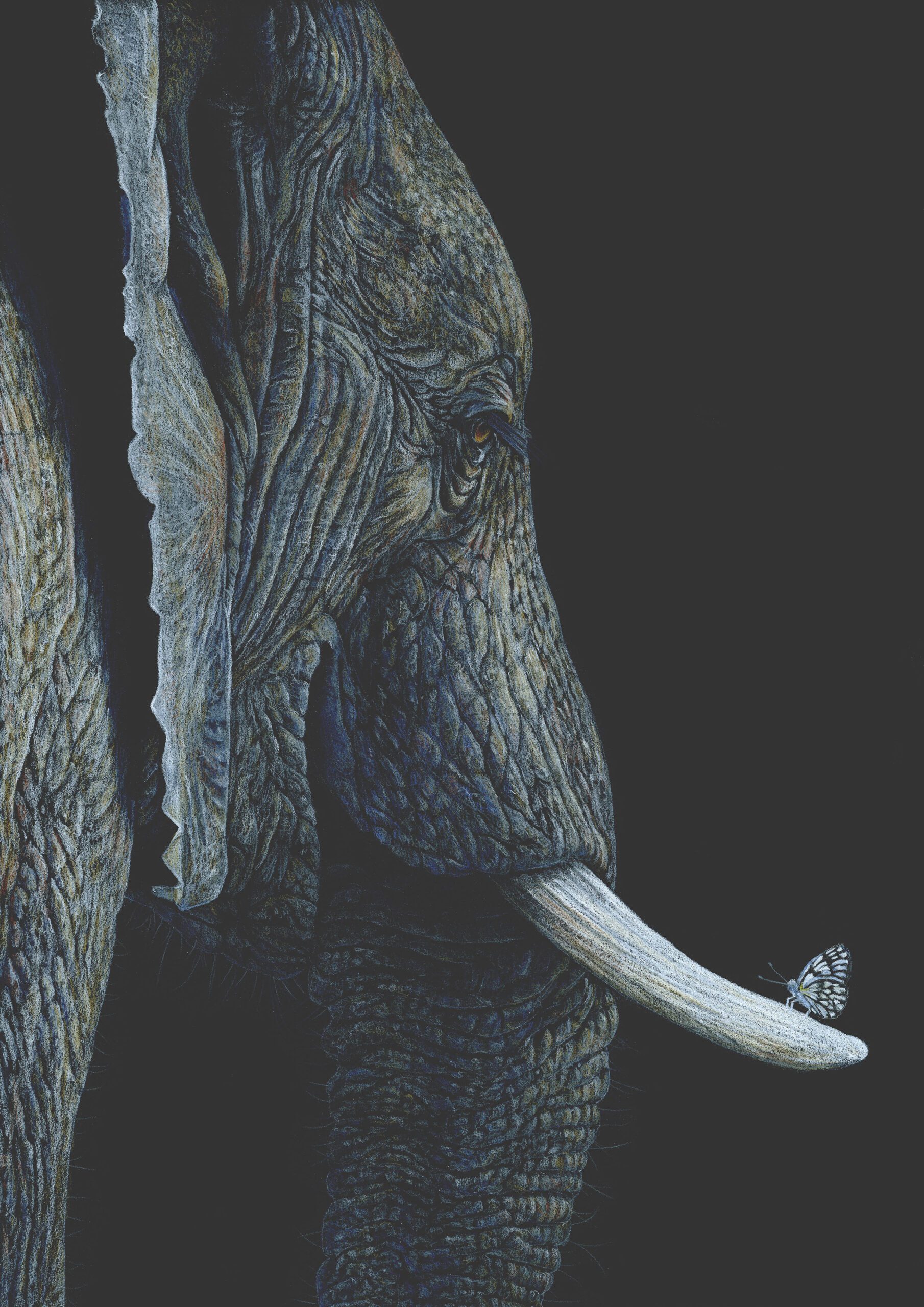 A Flutter of Spring - Tracy Warner