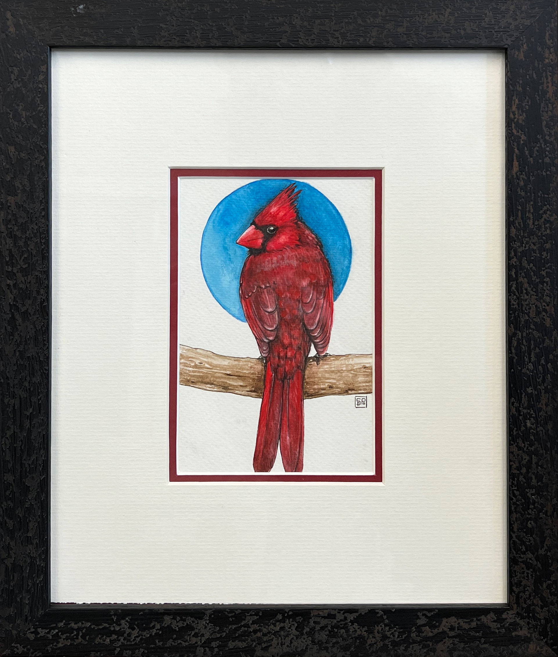 WAY Sketch for Wildlife - Red Cardinal by Sara Polini