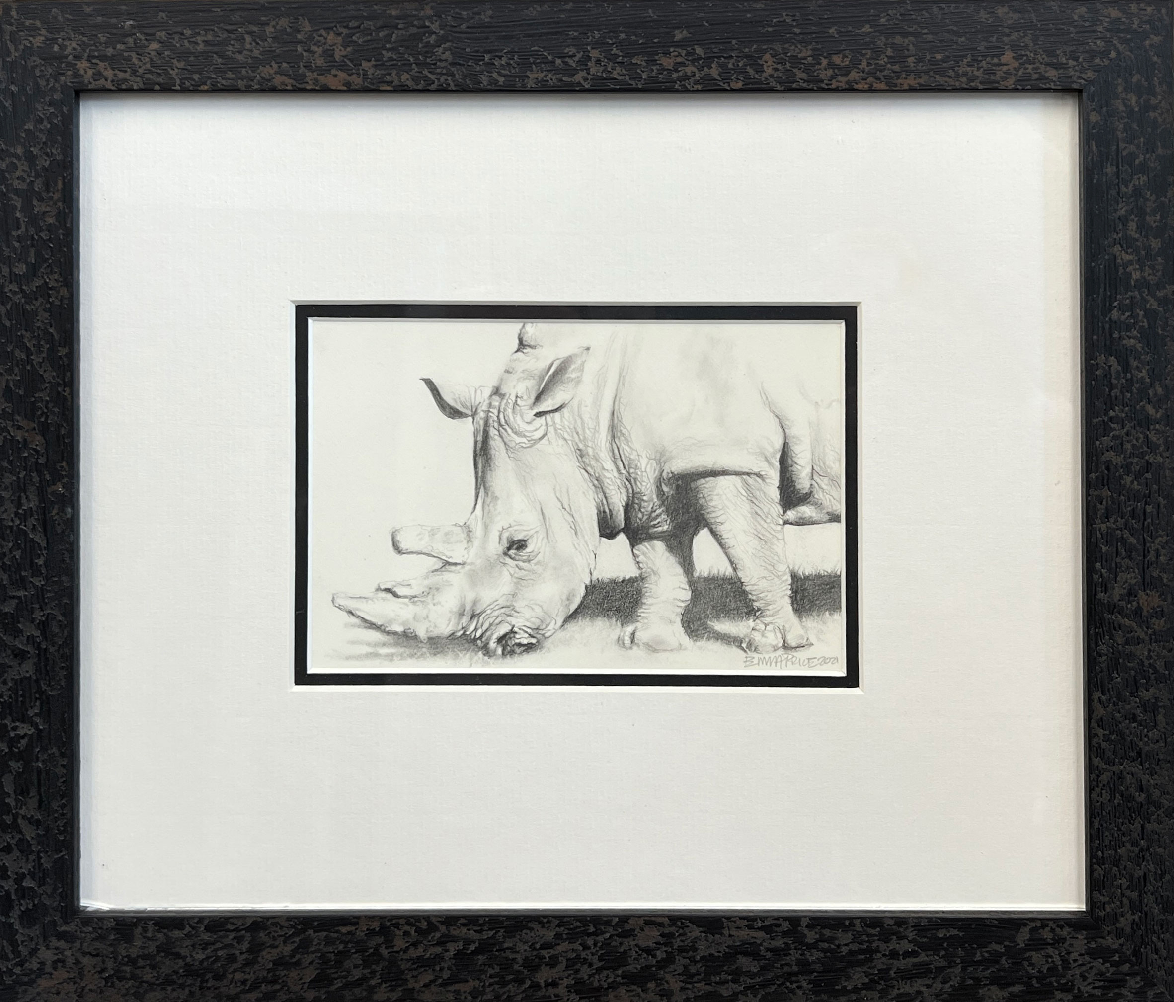 WAY Sketch for Wildlife - Rhino by Emma Price