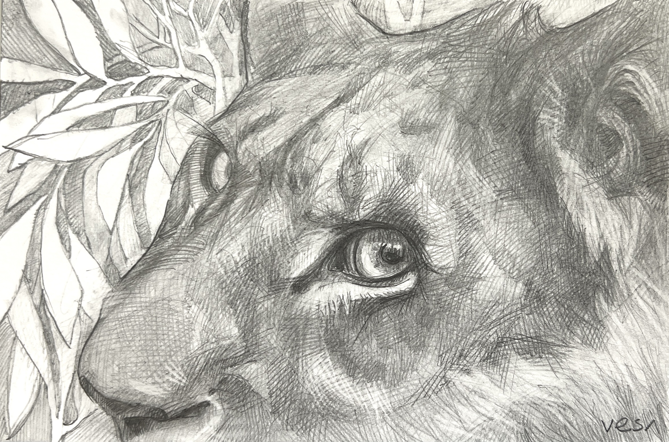 #WAY24MM006 Mini Master 24 - Vesela Sultanova