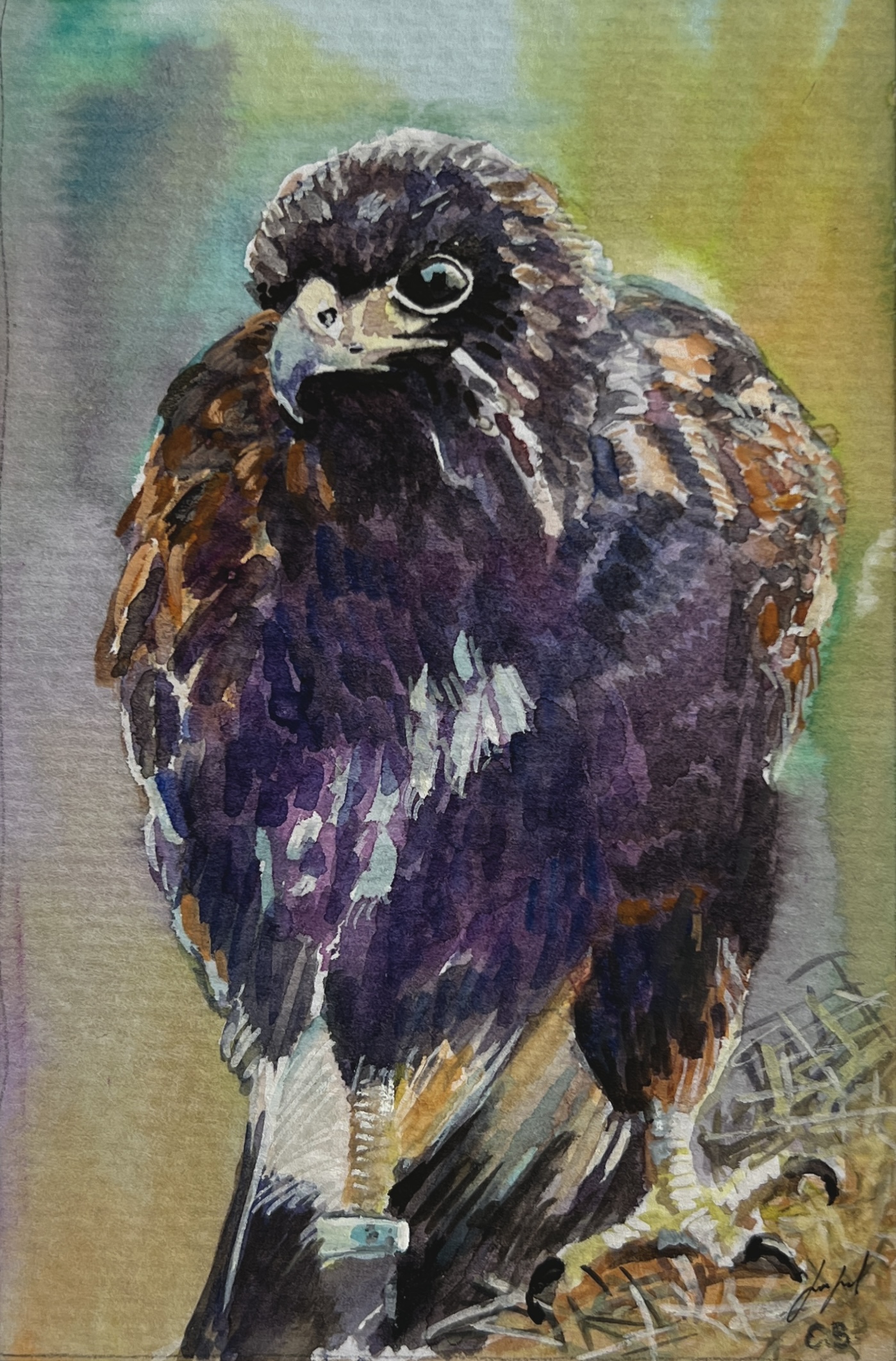 #WAY24MM008 Mini Master 24 - Eva Borgiel