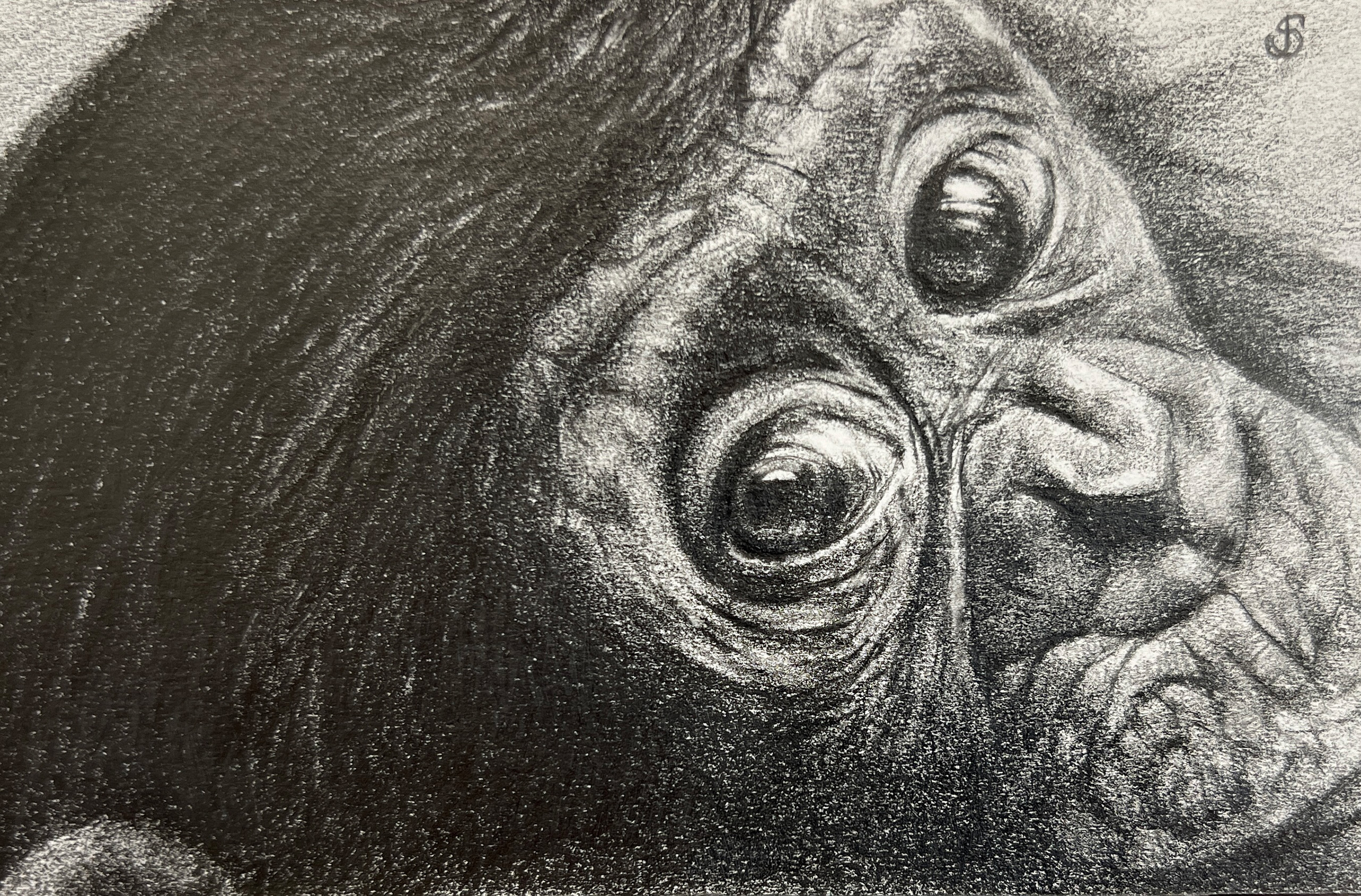 #WAY24MM015 Mini Master 24 - Joanne Smith