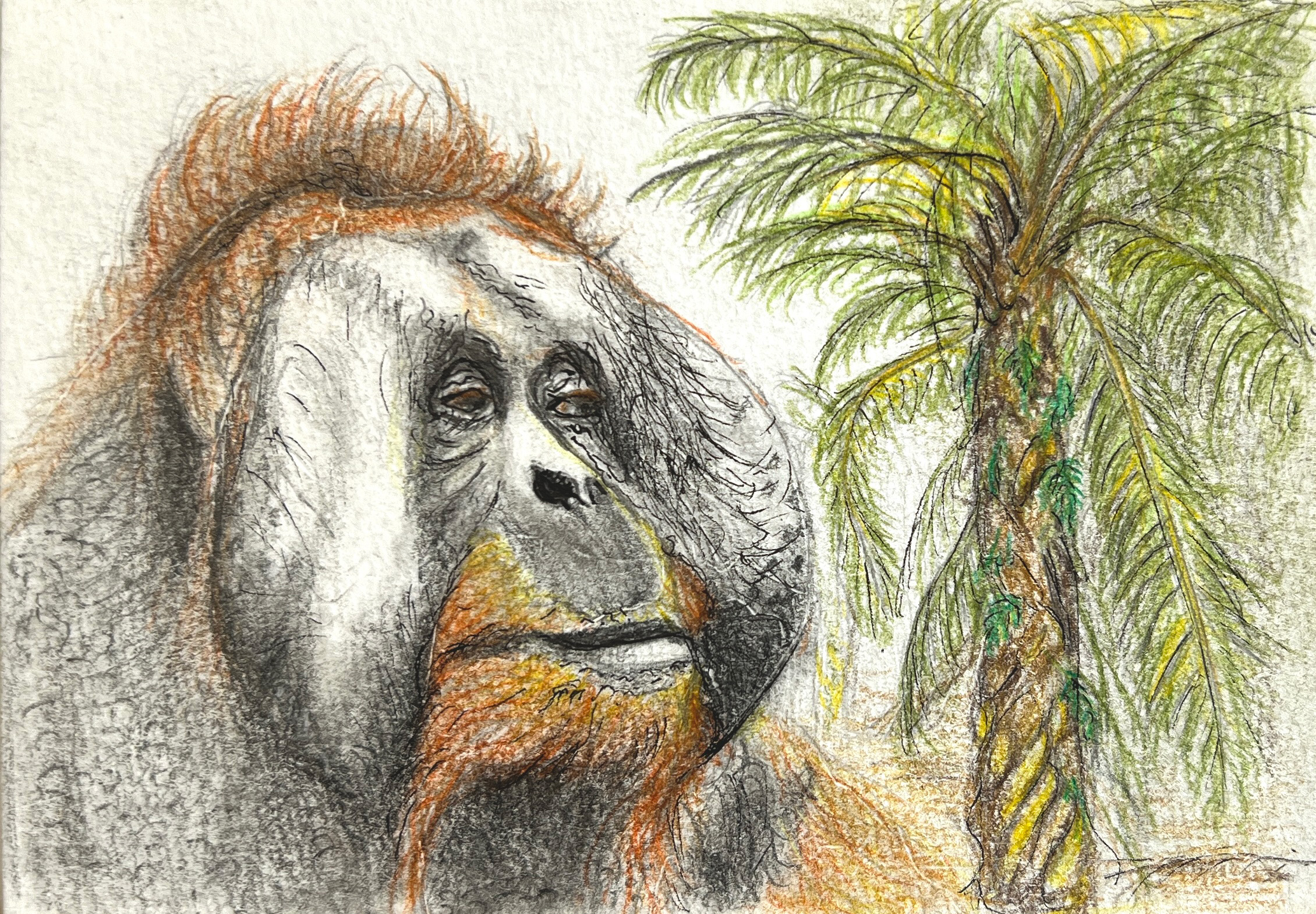 #WAY24MM024 Mini Master 24 - Dr Linda Smith