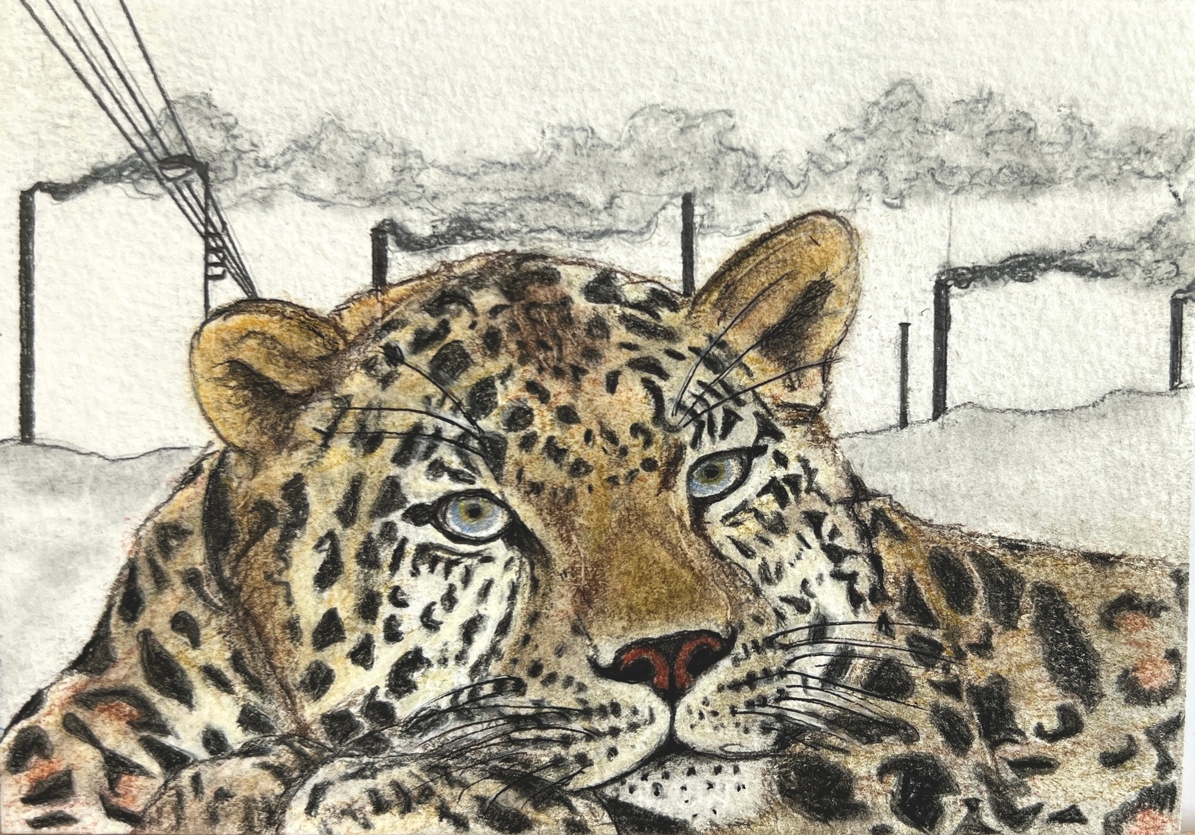 #WAY24MM025 Mini Master - Dr Linda Smith