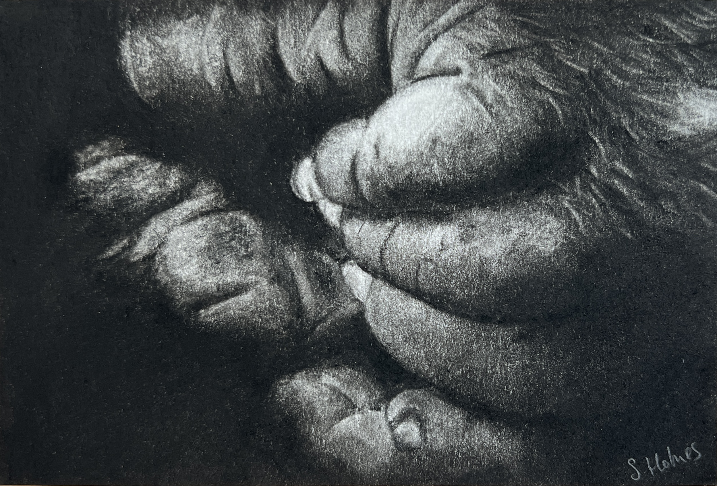 #WAY24MM040 Mini Master 24 - Sarah Holmes