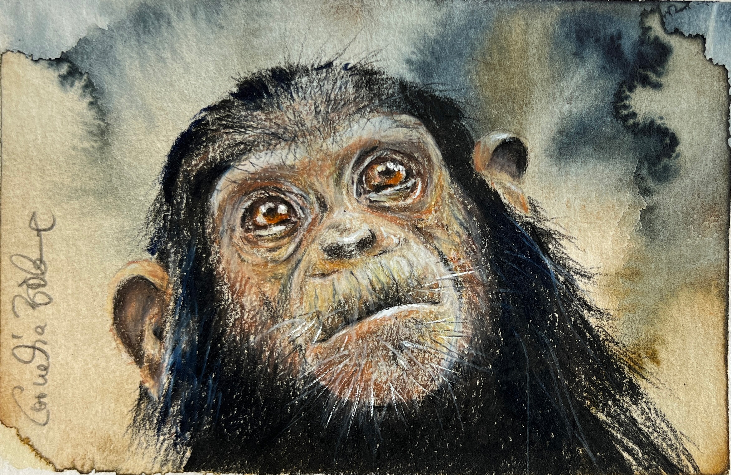 #WAY24MM044 Mini Master 24 - Cornelia Böhme