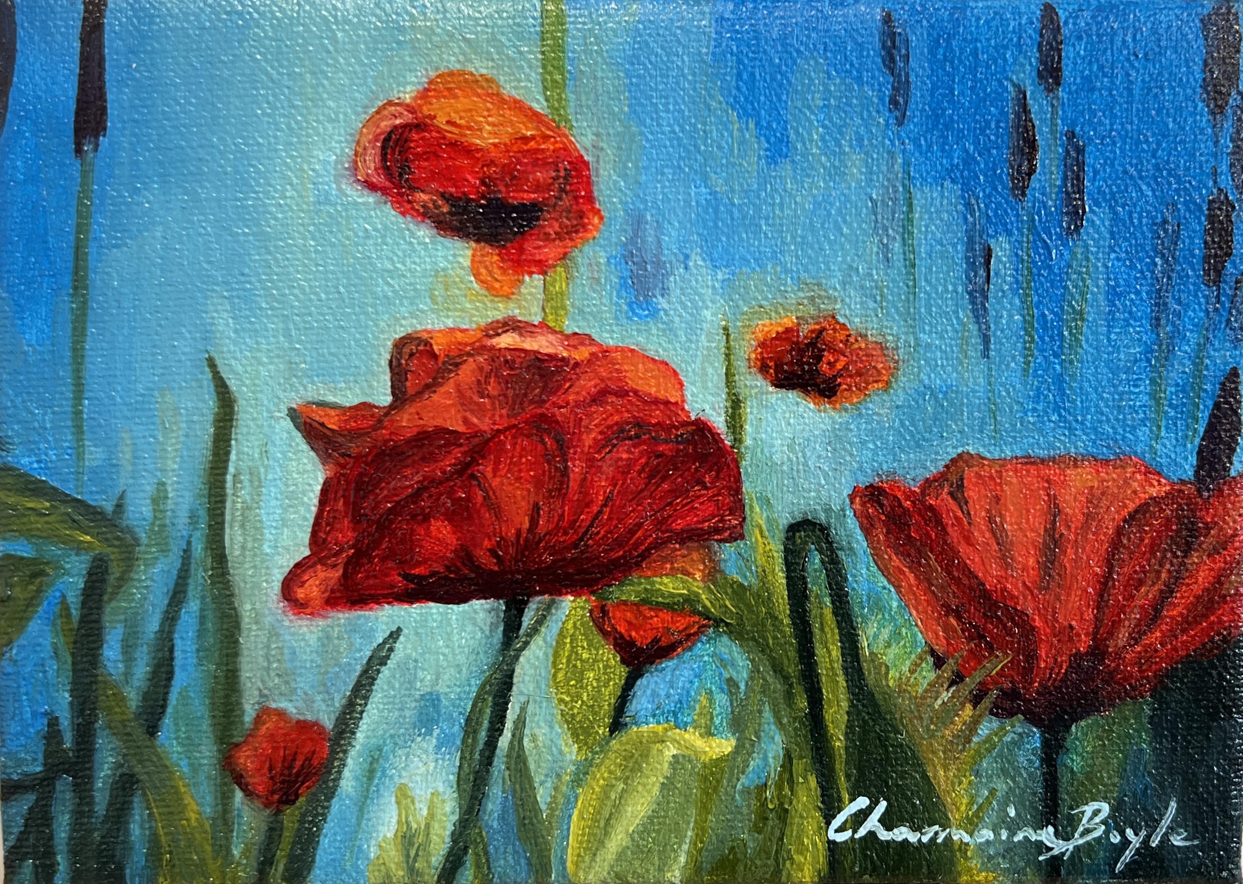 #WAY24MM081 Mini Master 24 - Charmaine Boyle