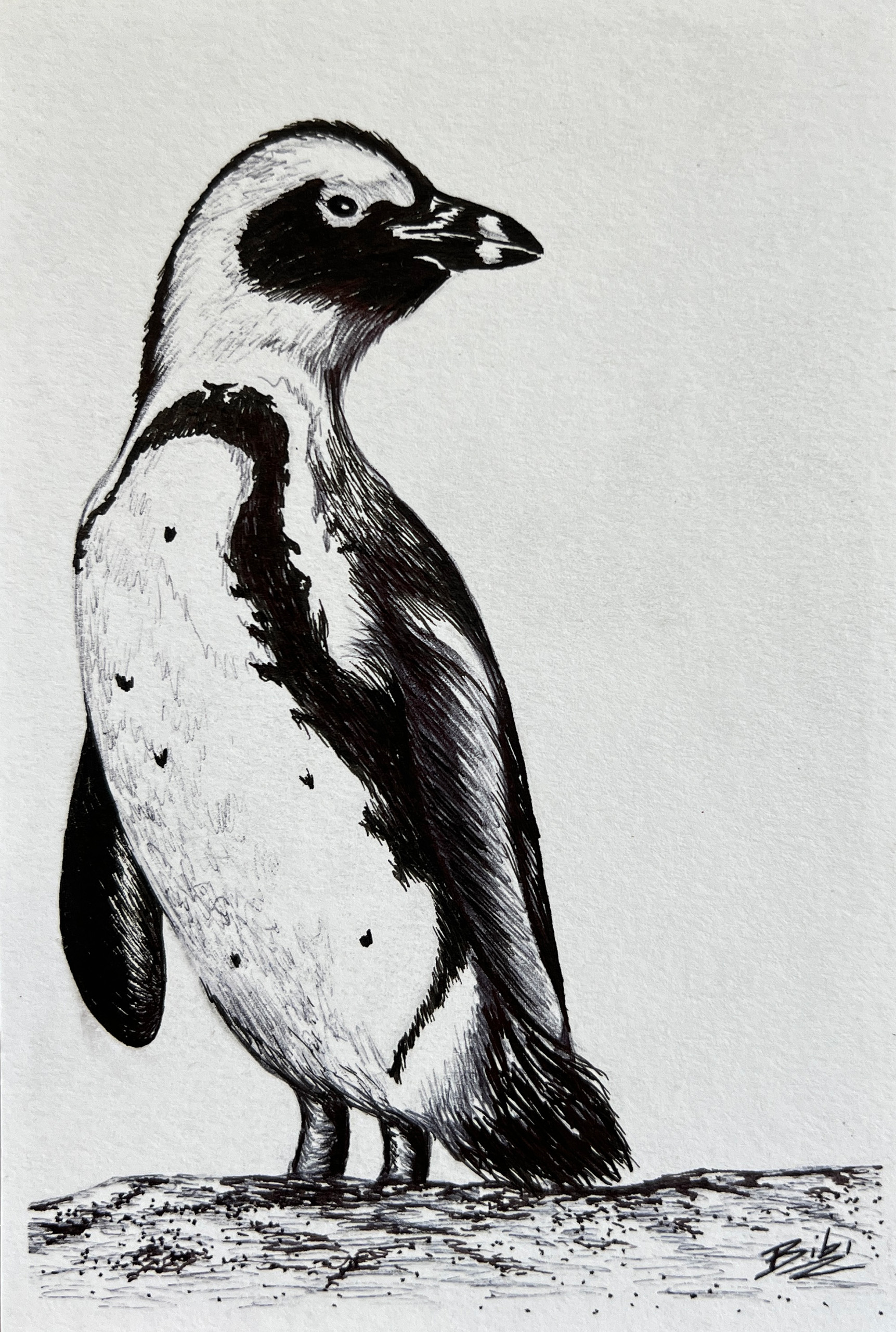 #WAY24MM105 Mini Master 24 - Bibi