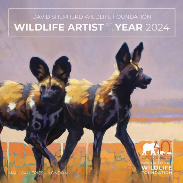 DSWF Wildlife Artist of the Year 2024 Exhibition Catalogue