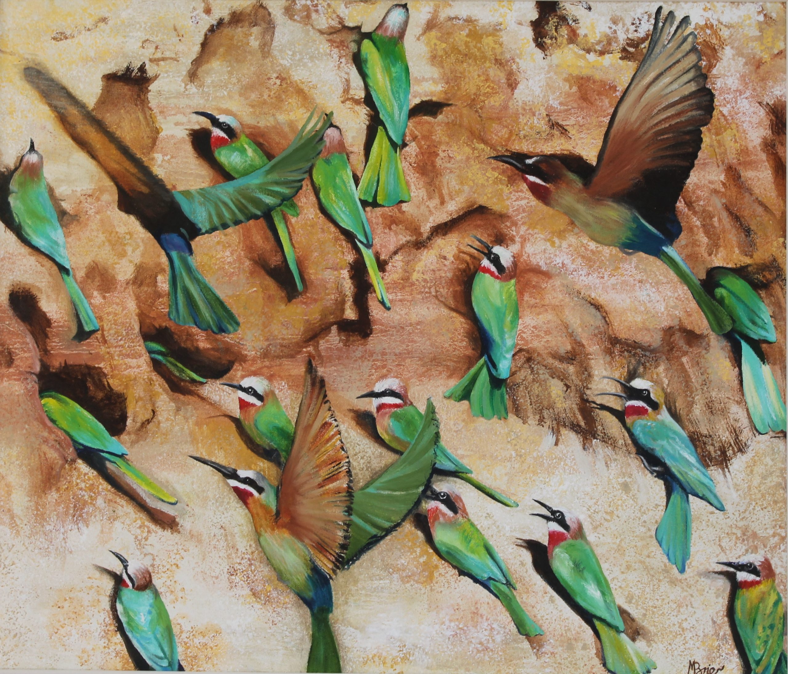 White-fronted Bee-eaters