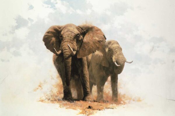Study of Elephants