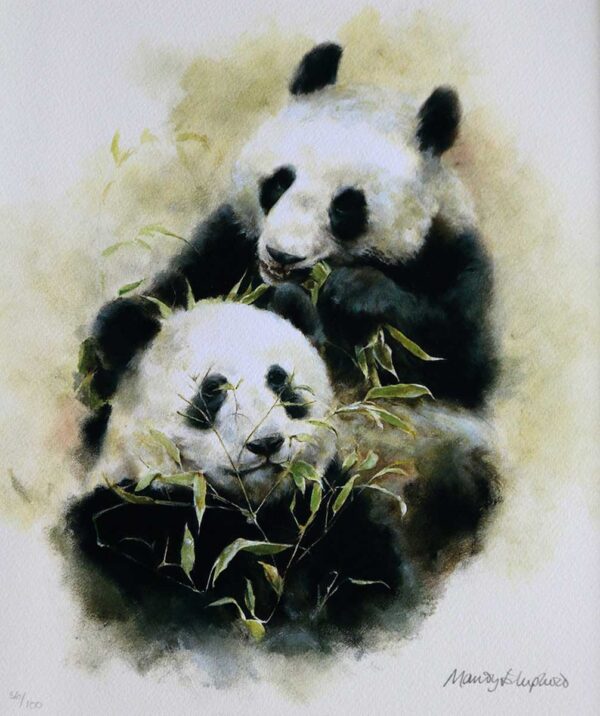 Pandas