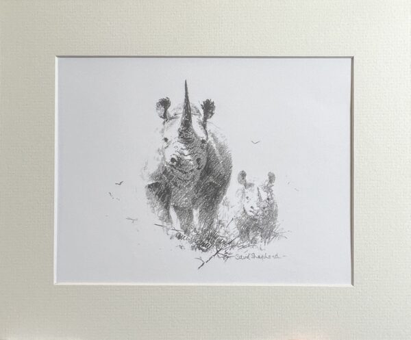 Wildlife Sketch Rhino