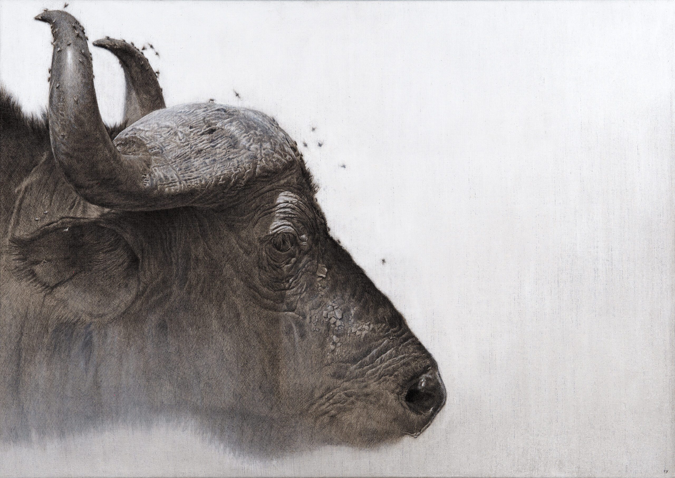 #CB2306 Cy Baker - Buffalo