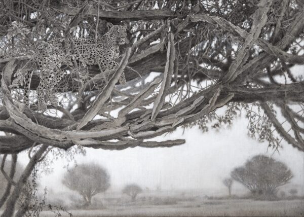 #CB2302 Cy Baker- Leopard Landscape