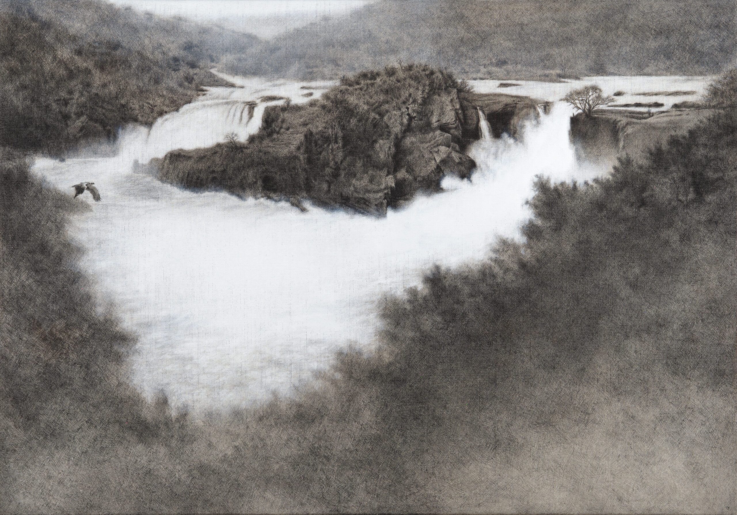 #CB2304 Cy Baker - Murchison Martial Eagle