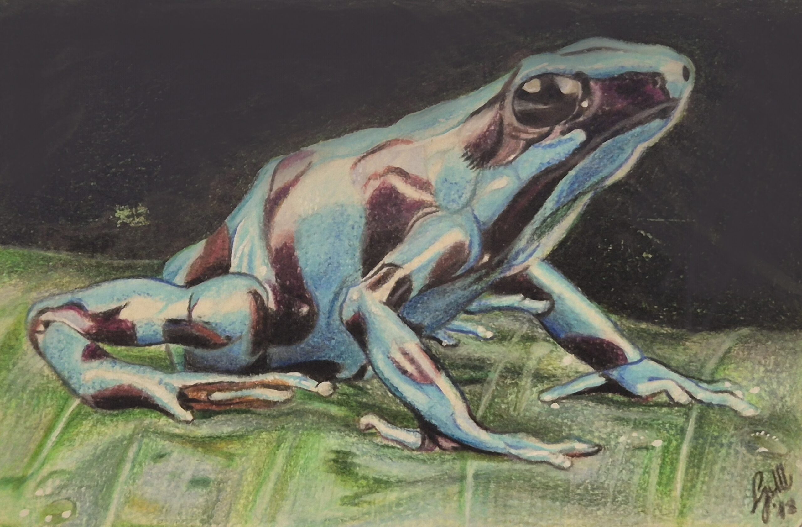 Mini Master 2018 - Poison Dart Frog