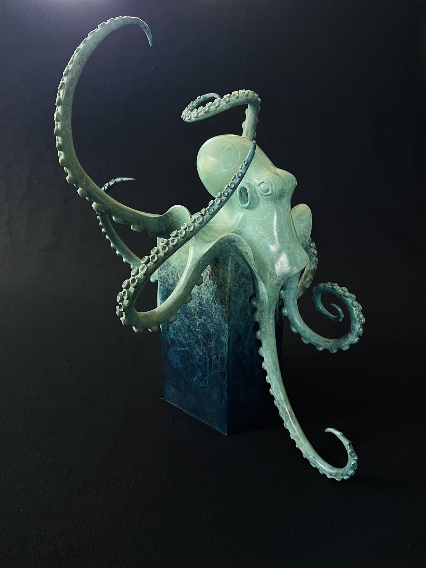 Octopus