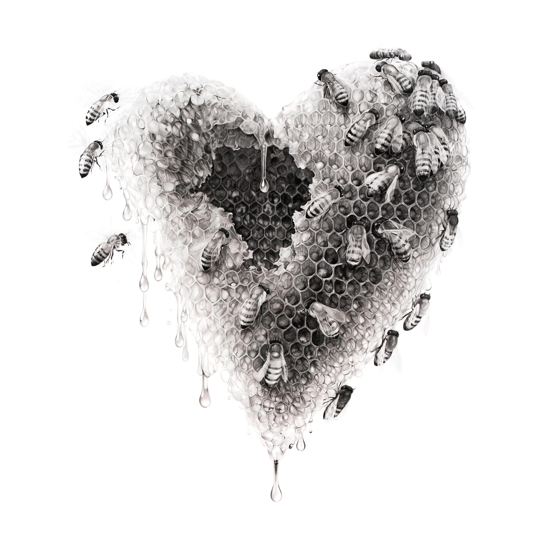 Don't Go Breaking My Honey