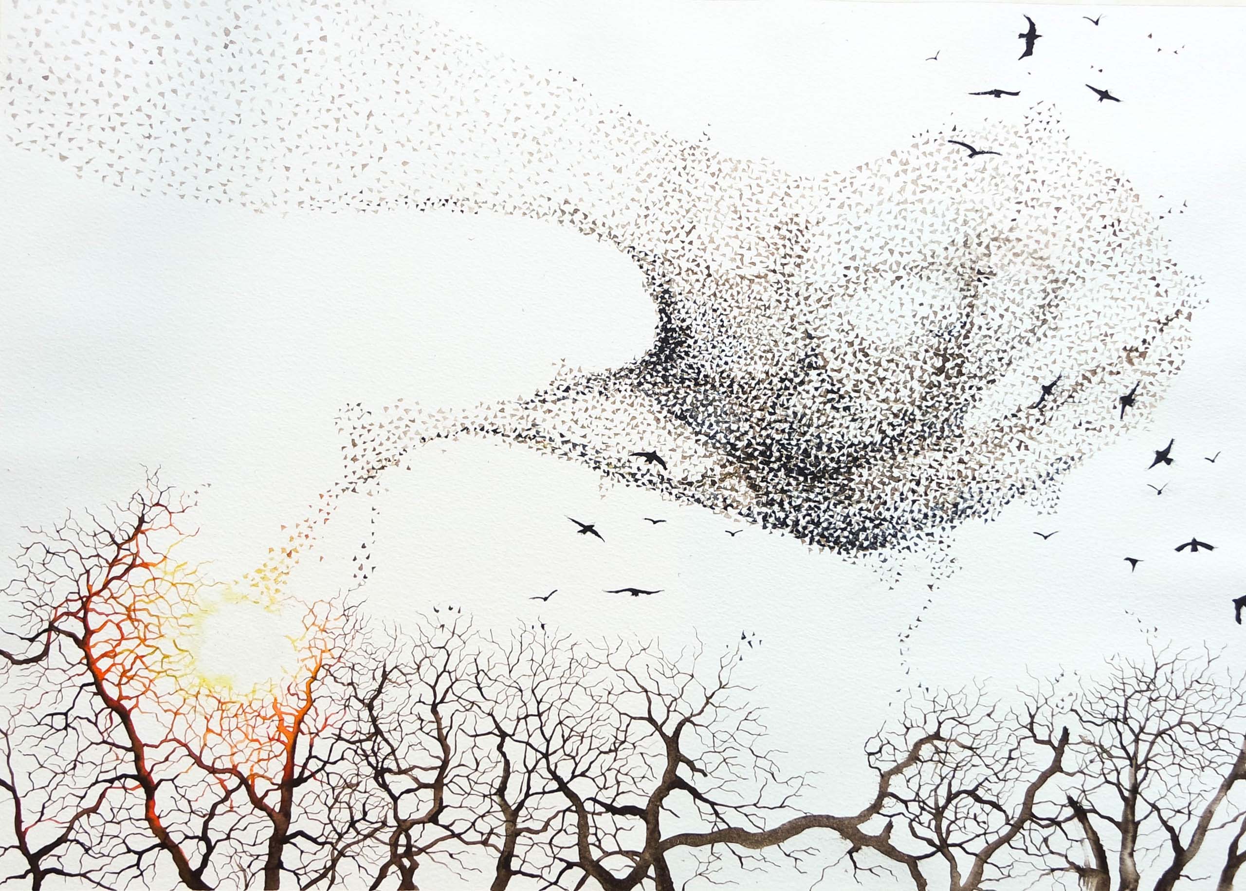 Murmuration - Ballet of the Sky