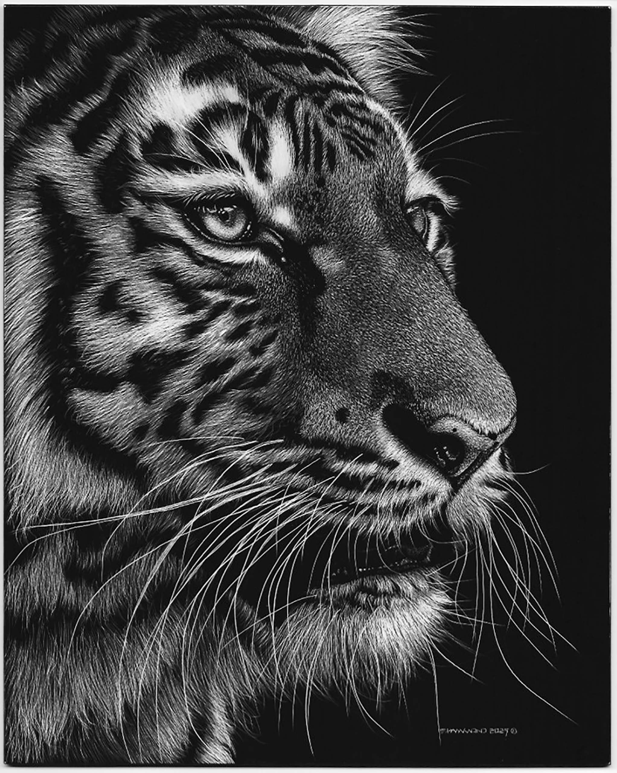 King of Stripes
