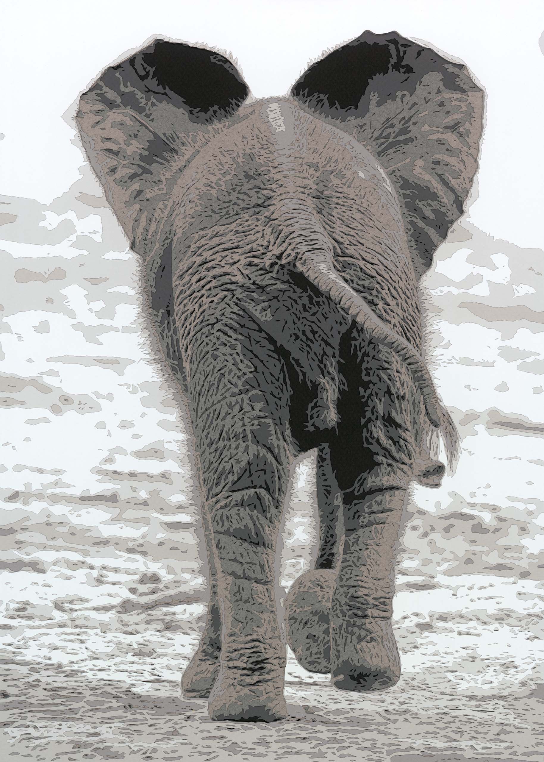 Madiba