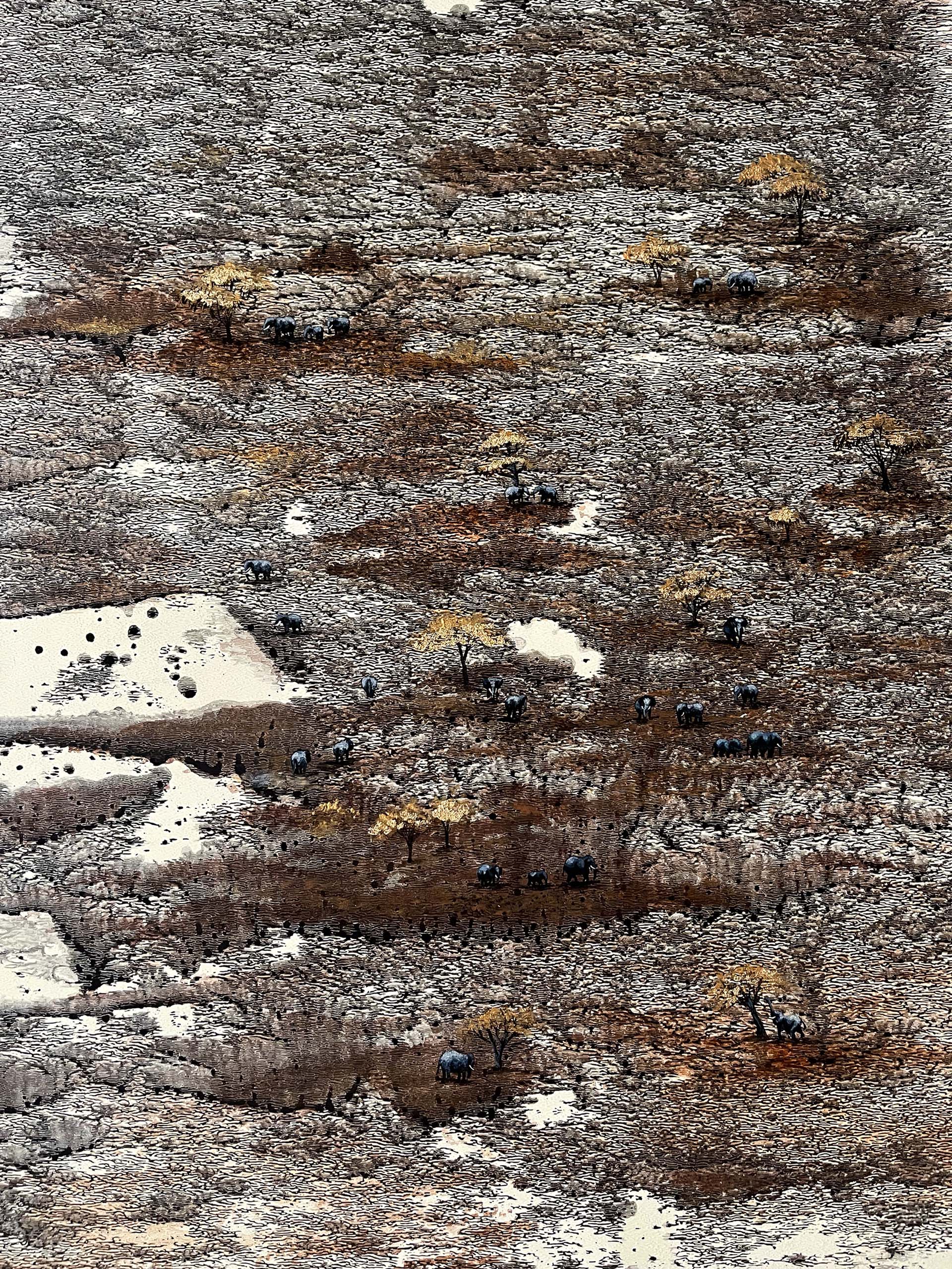 Pattern of the Wild