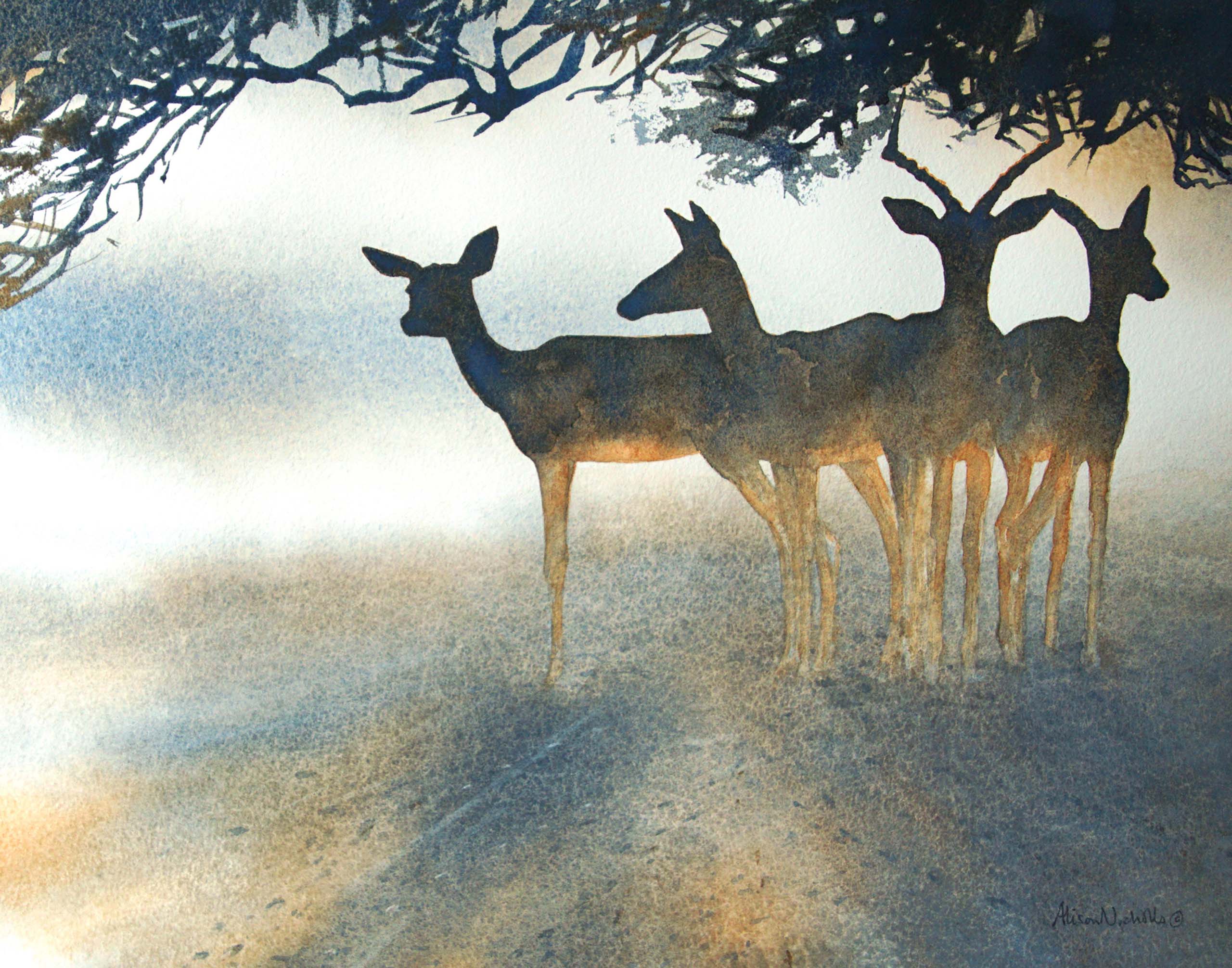Impala Shade