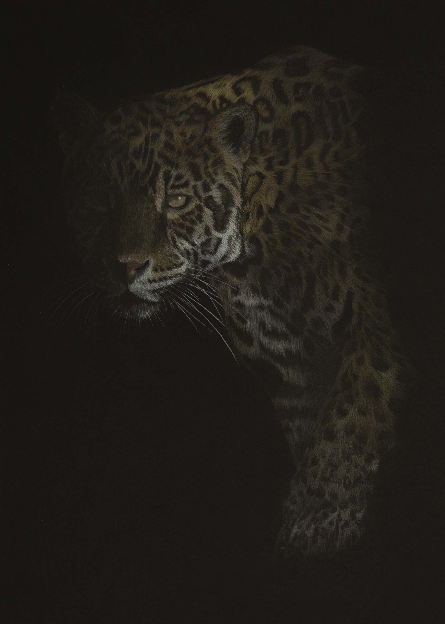 From the Darkness