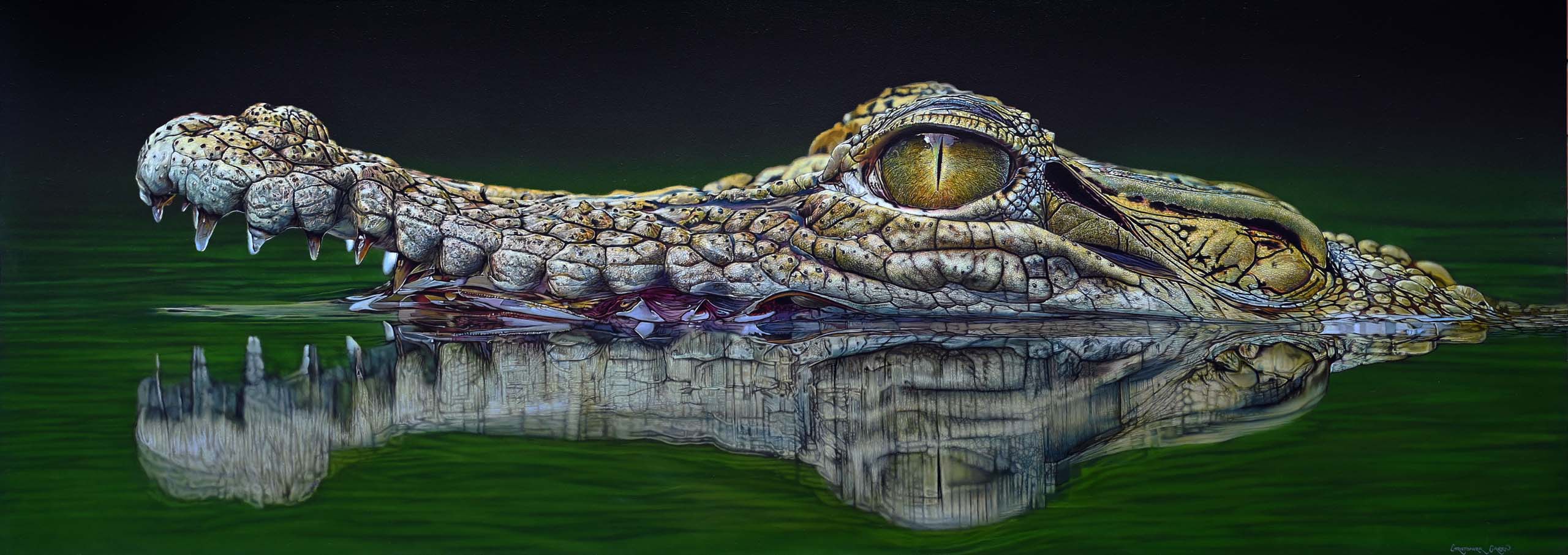 Croc-a-Bye Baby