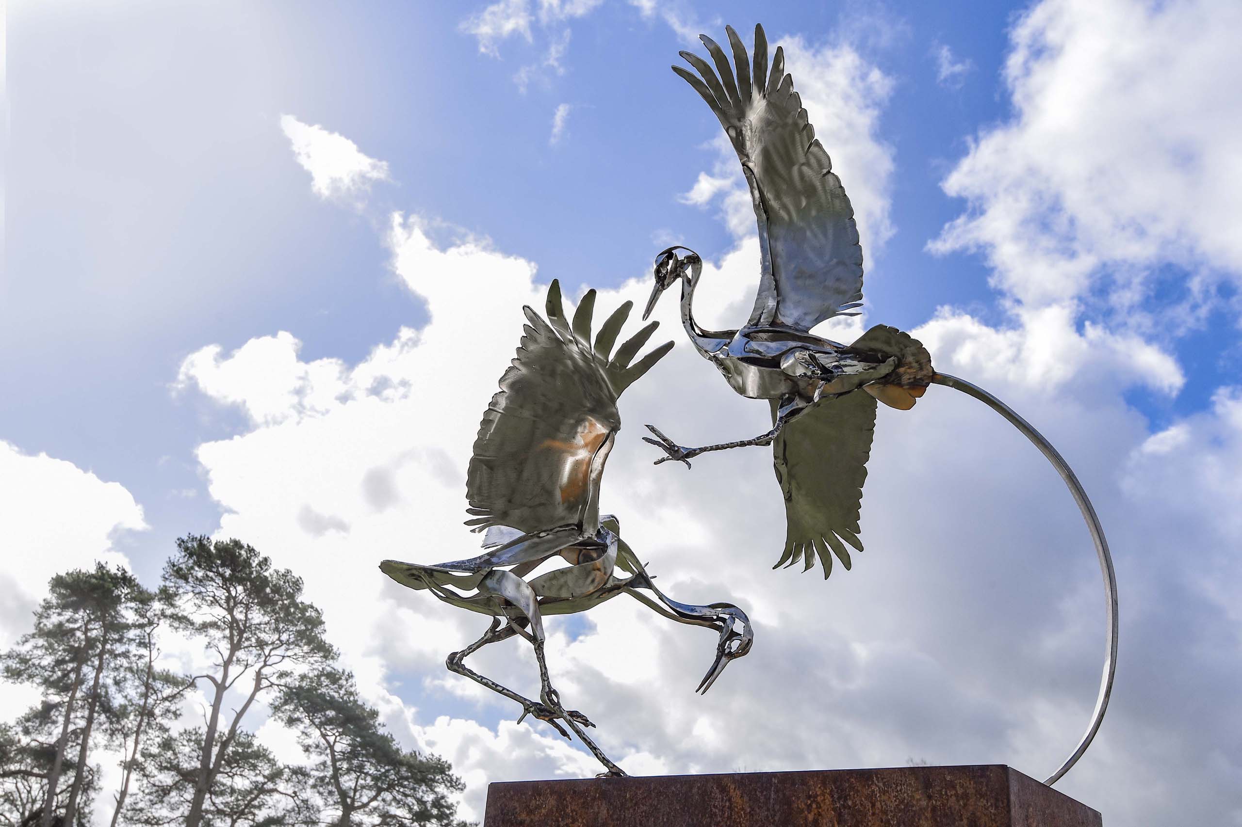 Red Crowned Cranes