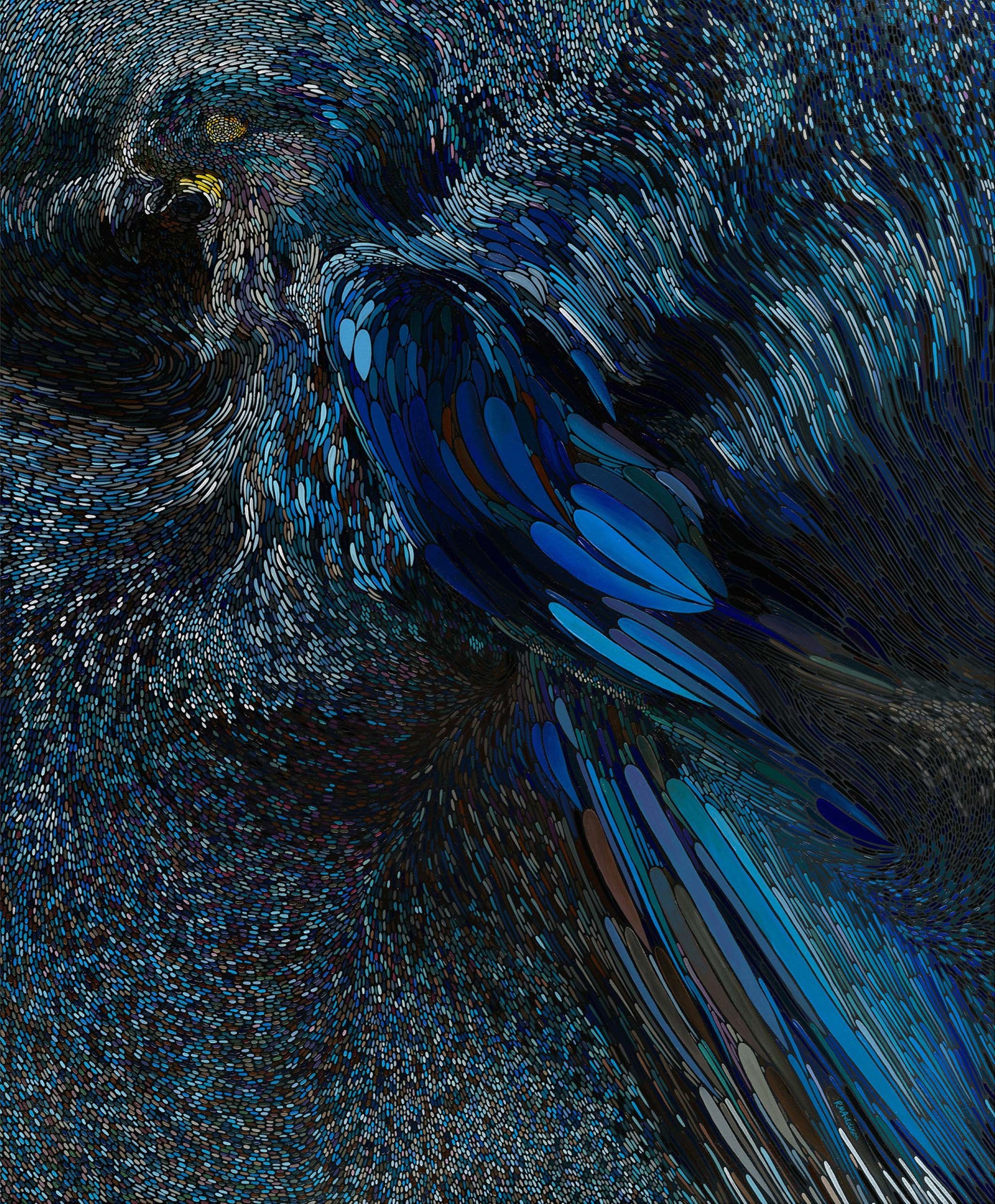 Lear's Macaw