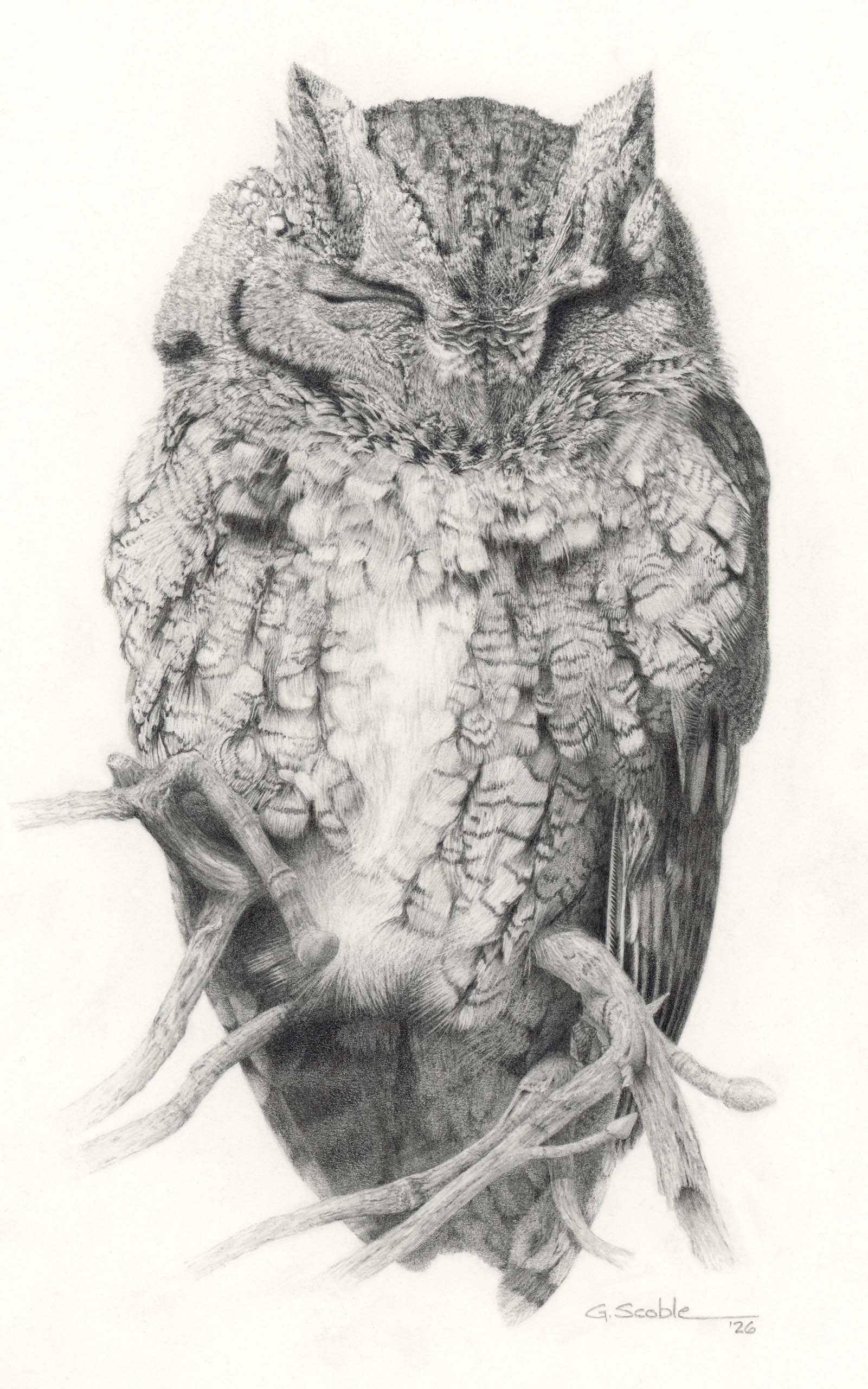 A Quiet Perch